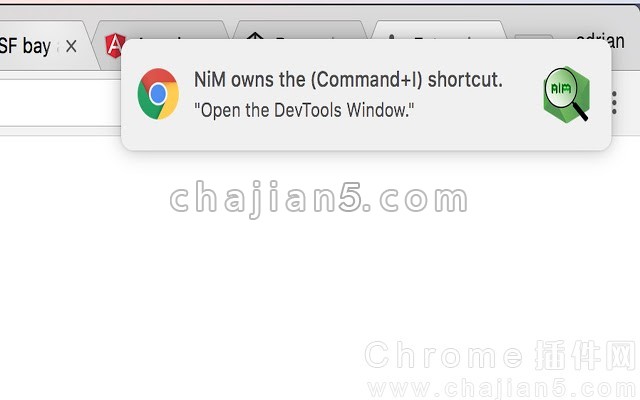 Chrome插件NIM(Node.js 调试管理工具)