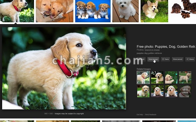 为Google图片搜索添加“查看图片”和“以图搜图”按钮的Chrome插件View Image