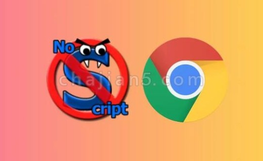 NoScript Chrome隐私保护/安全插件