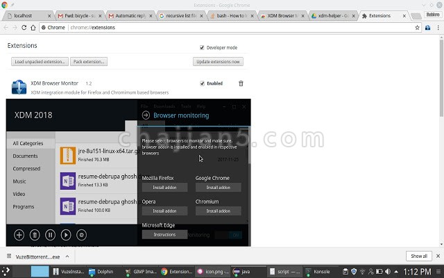 XDM Browser Monitor - XDM下载管理器