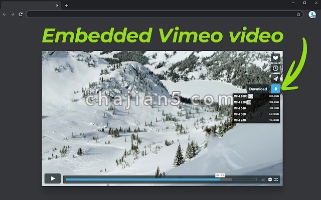 Vimeo 视频下载器