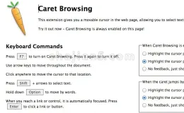 Caret Browsing 光标浏览模式 （由Google提供）