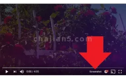 Screenshot YouTube 截取油管视频画面的插件