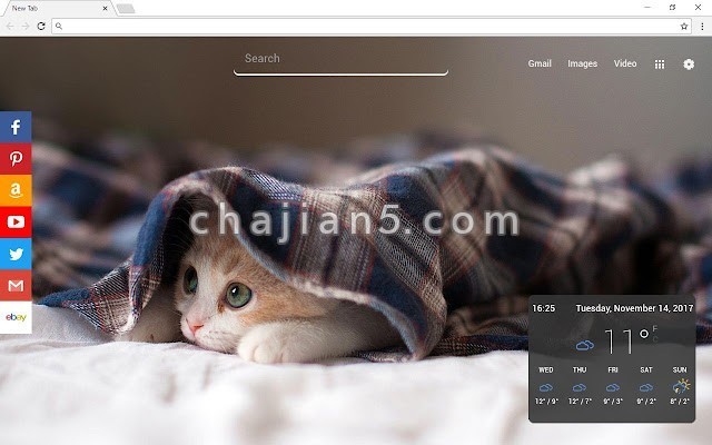 Cats New Tab Page 喜欢猫爱猫人士的chrome新标签页插件