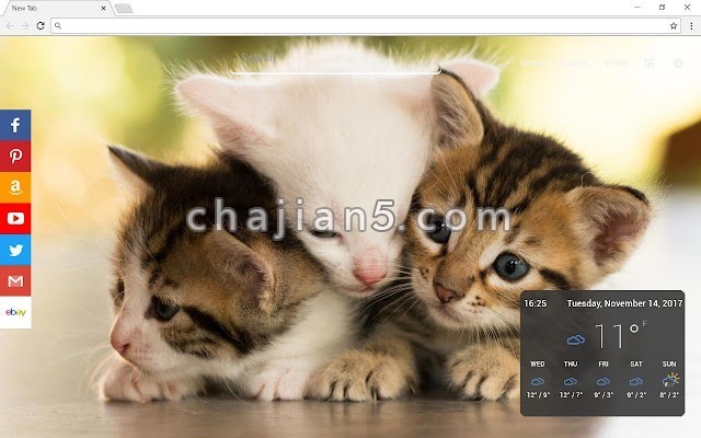 Cats New Tab Page 喜欢猫爱猫人士的chrome新标签页插件