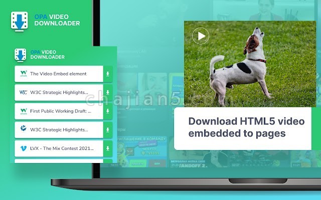 Opa video downloader 从网页上下载嵌入的HTML5视频