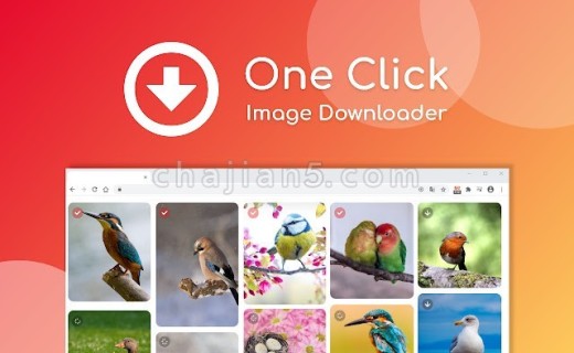 One Click Image Downloader 给网页上的图片添加一个下载按钮