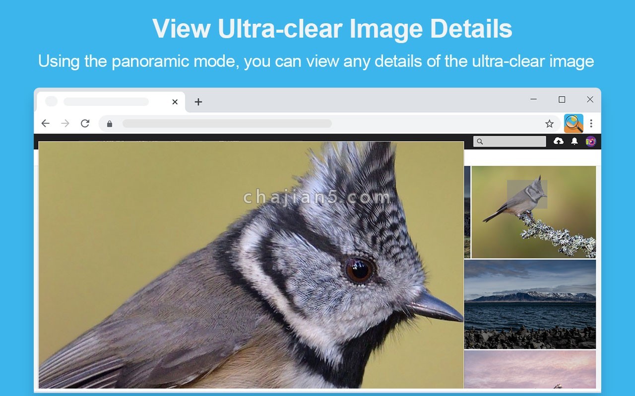 Photo Zoom 易看图 只需将鼠标放在上面就能在任何网站上缩放图像